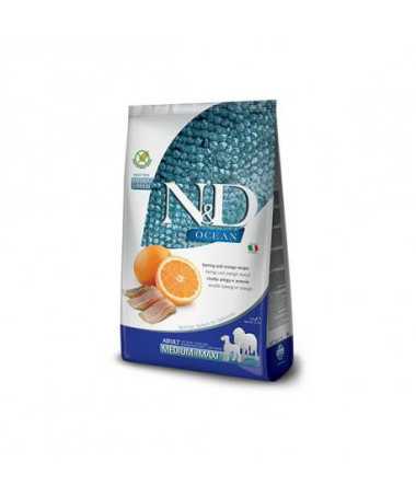 N&D OCEAN DOG MEDIUM/MAXI ARENQUE 2