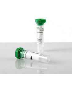 TUBOS AQUISEL HEPARINA LI VERDE 1 ML 12X55 100U