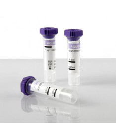 TUBOS AQUISEL EDTA 3K MALVA 2ML 16X55 100U