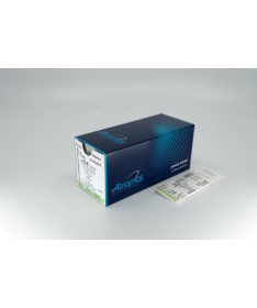 NYLON 9/0 DOBLE AG.ESPATULA 3/8 6