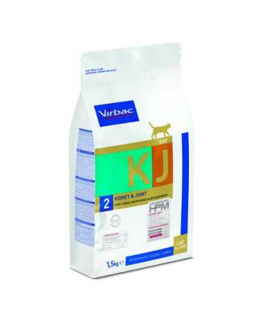 KJ2 CAT KIDNEY AND JOINT 1