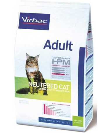 ADULT NEUTERED CAT 1