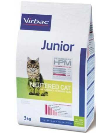 JUNIOR NEUTERED CAT 1
